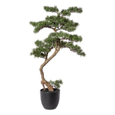Zöld színű, mű cédrus bonsai fa, fekete színű műanyag cserépben.